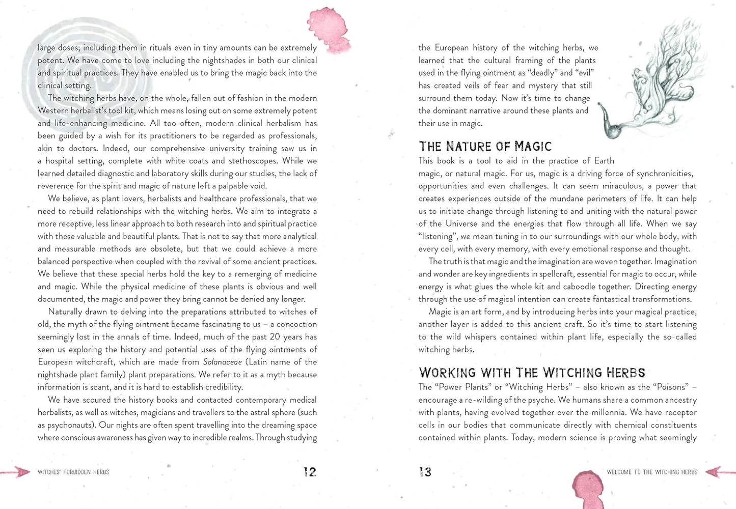 WITCHES' FORBIDDEN HERBS: A PRACTICAL GUIDE TO INFAMOUS PLANTS FOR MAGIC AND MEDICINE BY THE SEED SISTAS, ILLUSTRATED BY SILVA DE MAJO