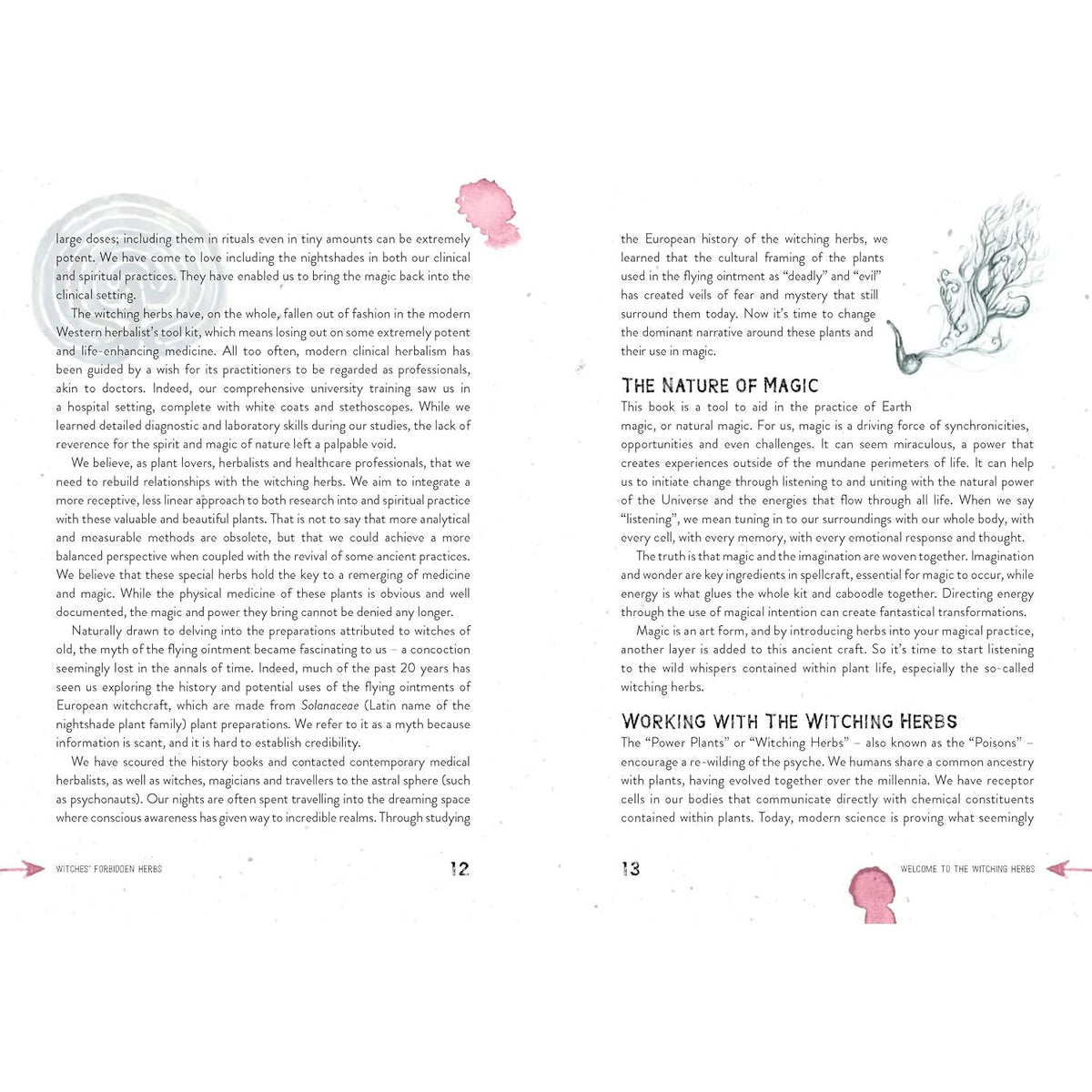 WITCHES' FORBIDDEN HERBS: A PRACTICAL GUIDE TO INFAMOUS PLANTS FOR MAGIC AND MEDICINE BY THE SEED SISTAS, ILLUSTRATED BY SILVA DE MAJO