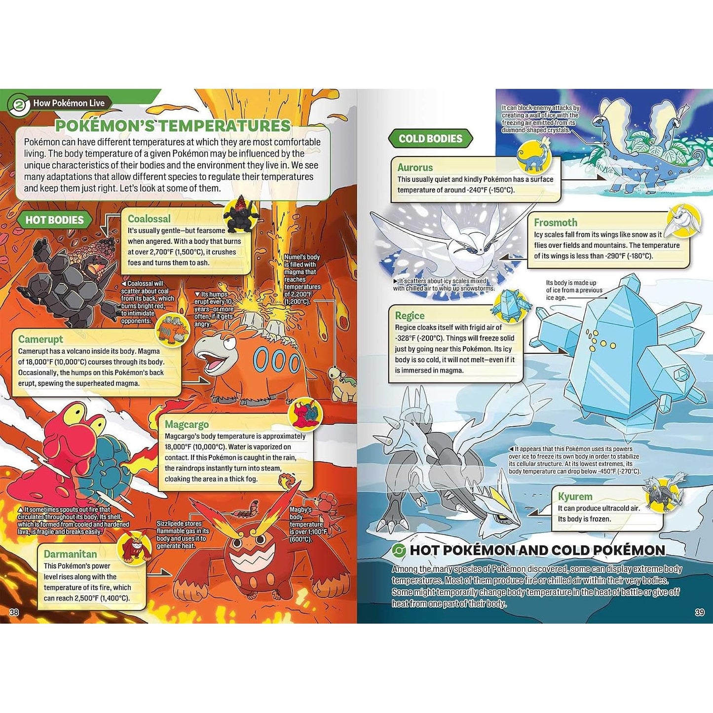 POKÉCOLOGY AN ILLUSTRATED GUIDE TO POKÉMON ECOLOGYBY POKEMON PIKACHU PRESS