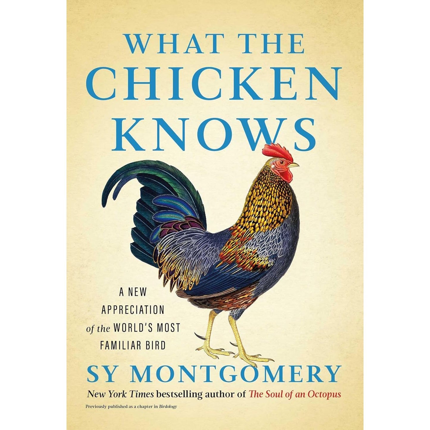 WHAT THE CHICKEN KNOWS BY SY MONTGOMERY