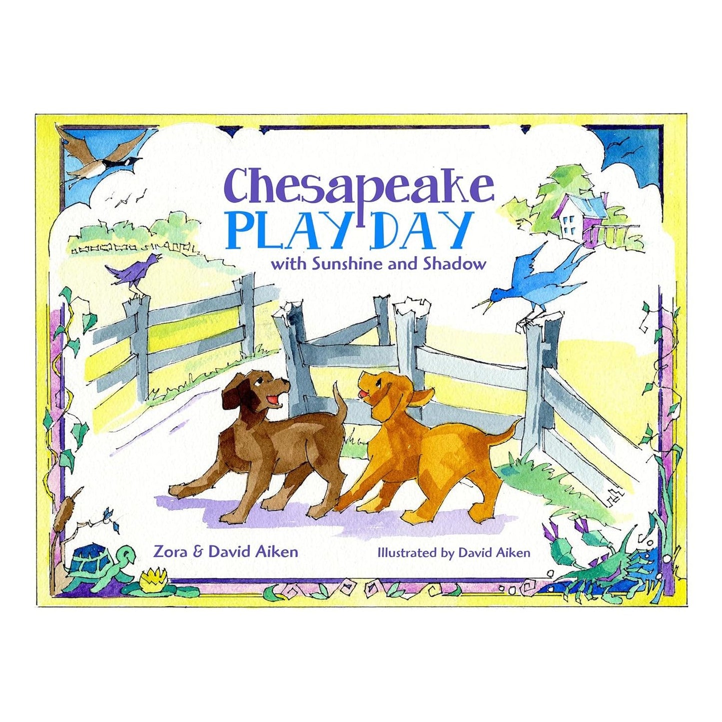 CHESAPEAKE PLAYDAY WITH SUNSHINE AND SHADOW BY DAVID & JOAN AIKEN