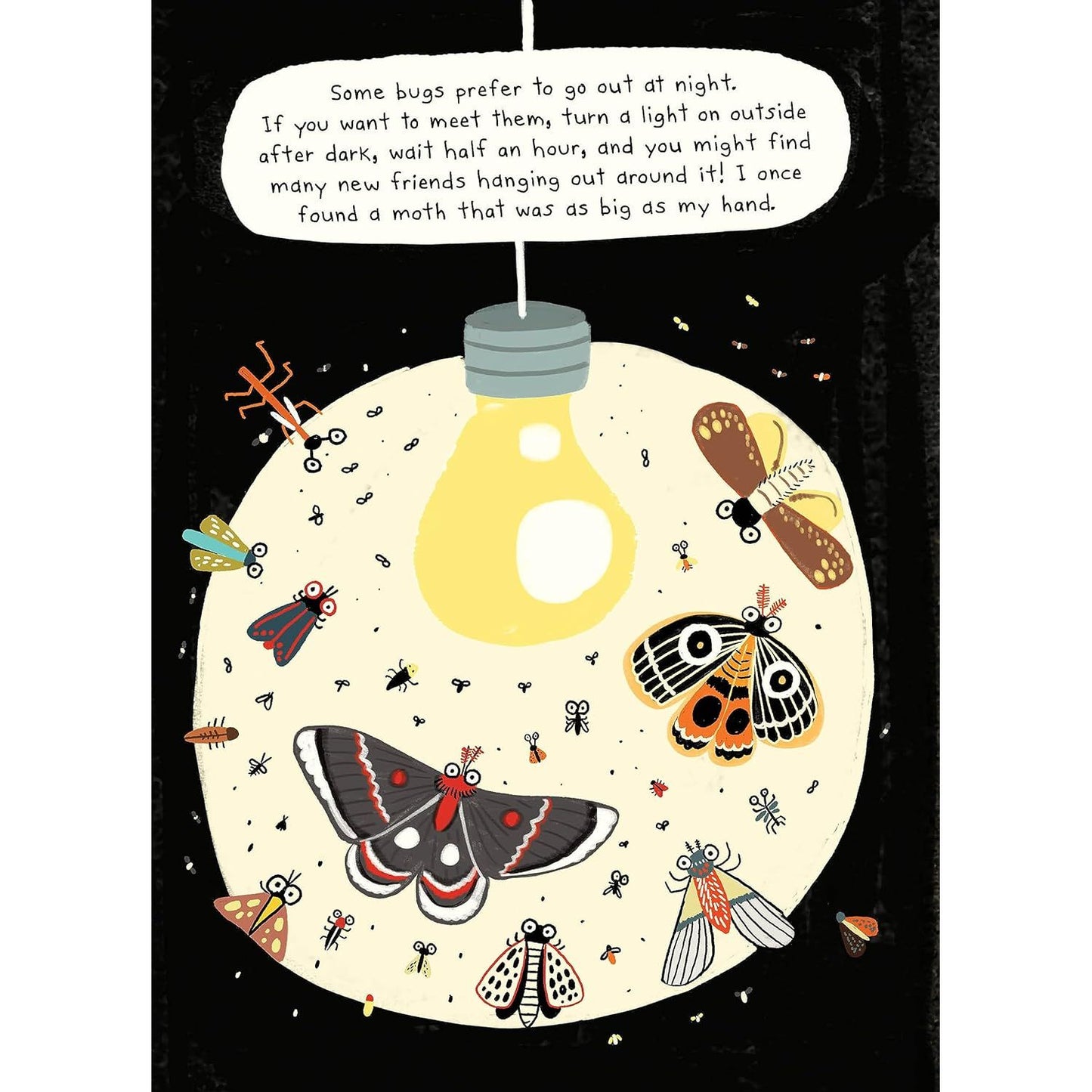 THE BUG CLUB BY ELISE GRAVEL