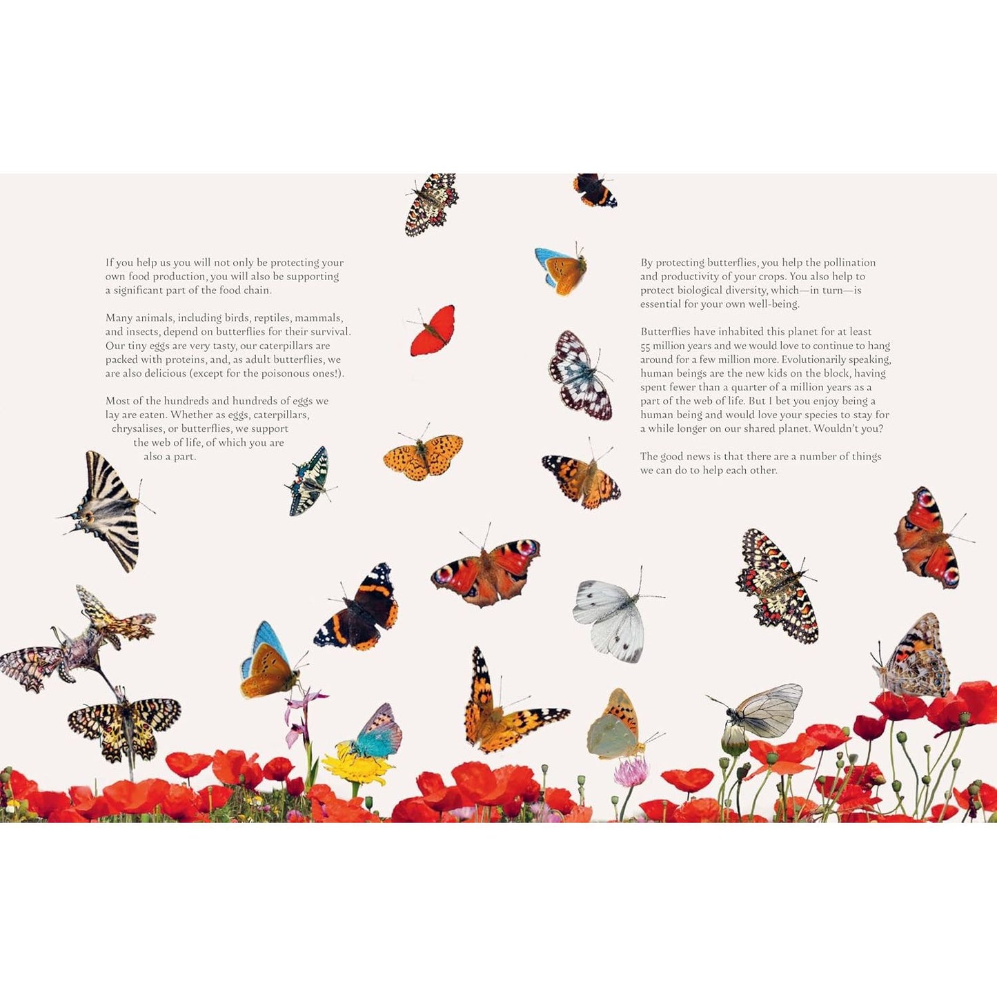 ON A BUTTERFLY'S WING: LESSONS FROM NATURE ON EMBRACING CHANGE BY ASTRID VARGAS