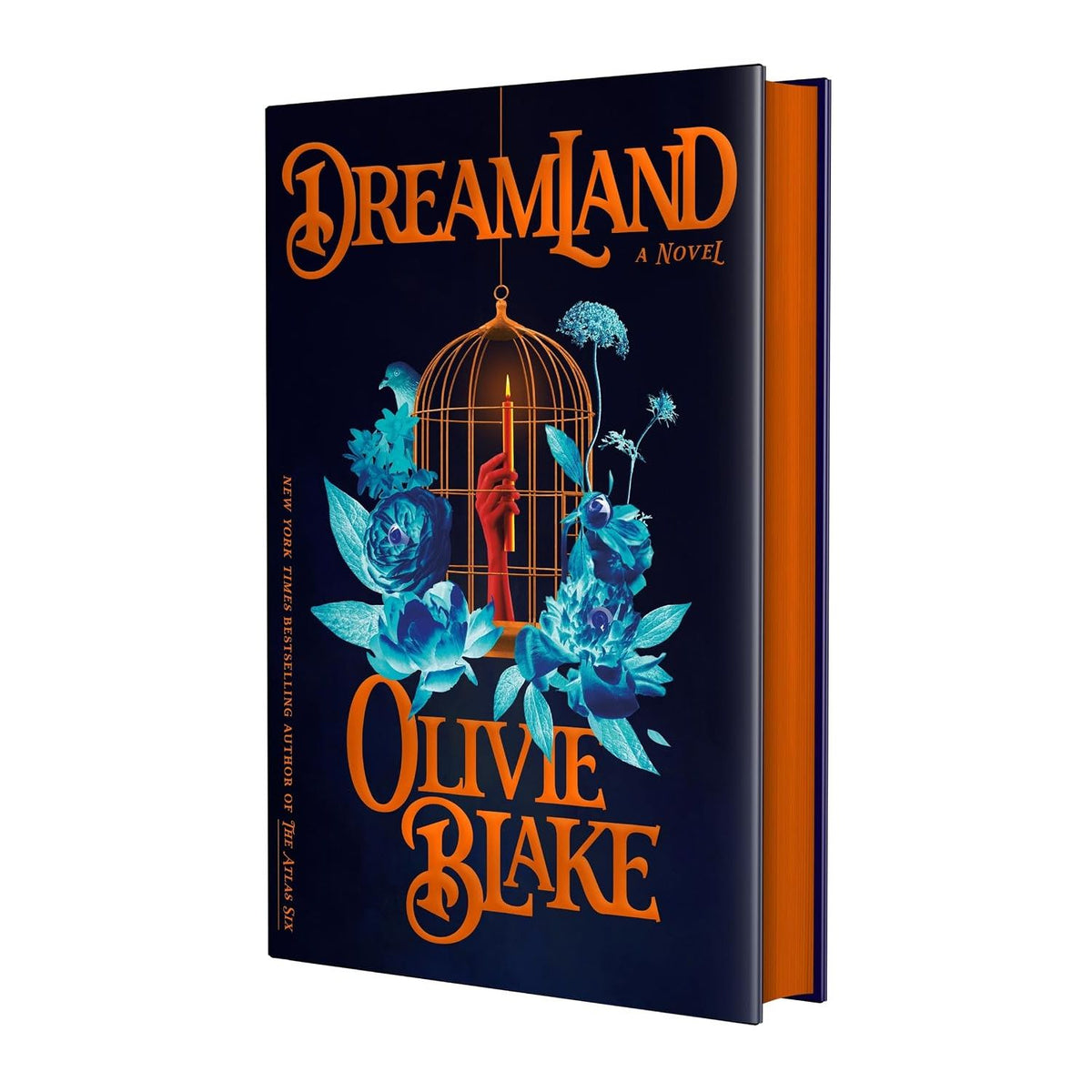 DREAMLAND: A NOVEL BY OLIVIE BLAKE