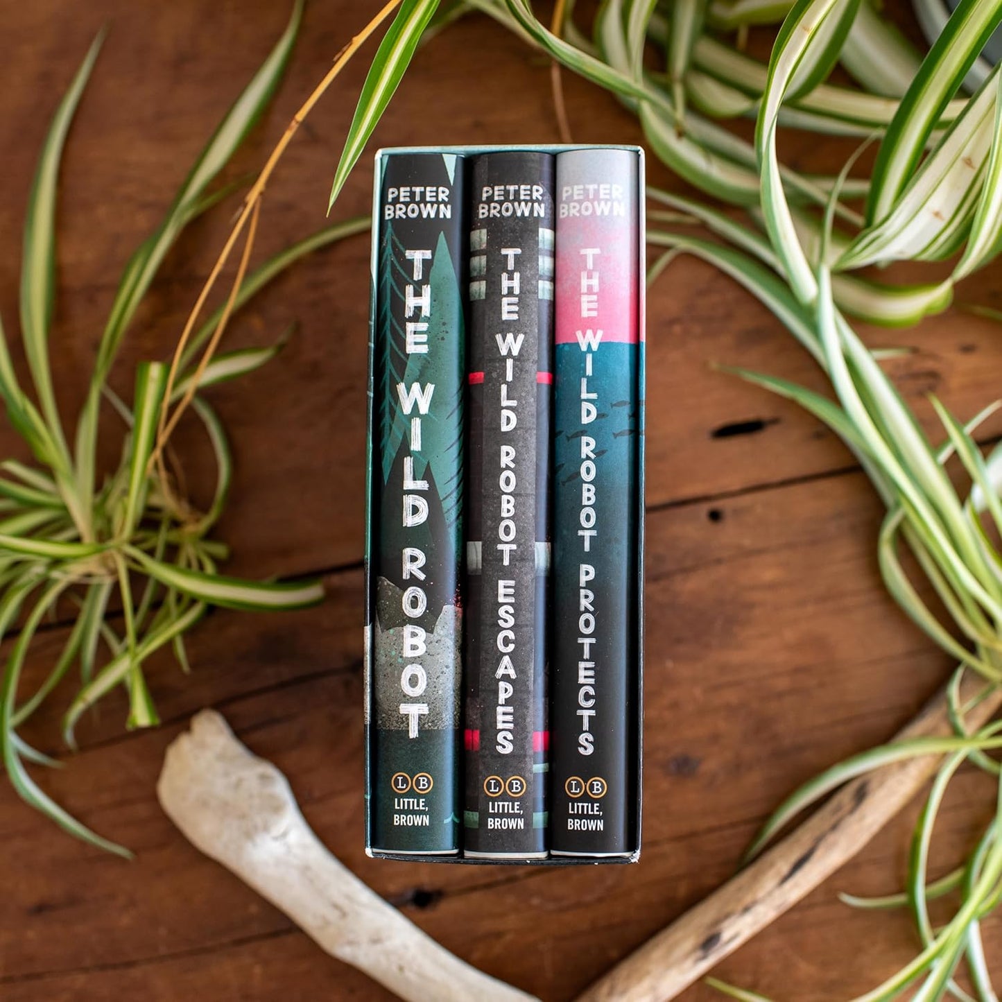 THE WILD ROBOT BOXED SET (3 BOOKS)