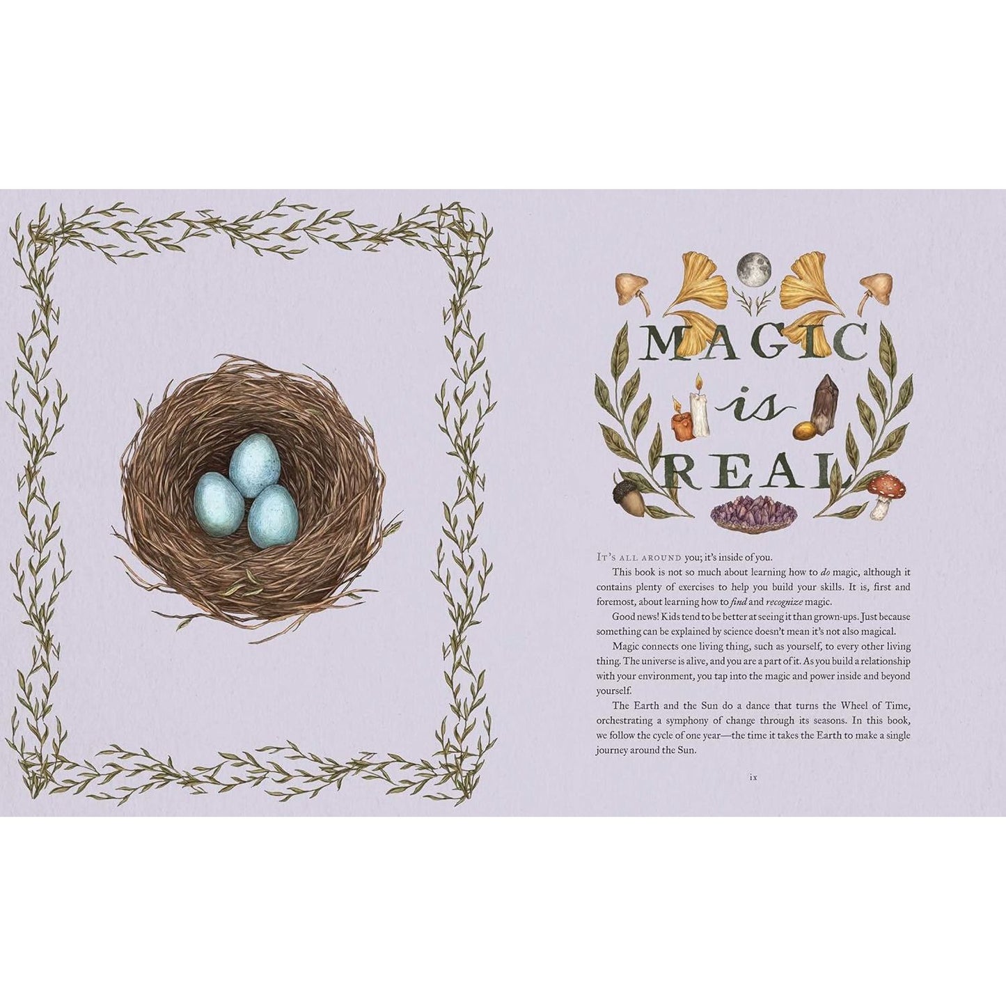 THE WHEEL OF THE YEAR: AN ILLUSTRATED GUIDE TO NATURE'S RYTHMS BY FIONA COOK AND JESSICA ROUX