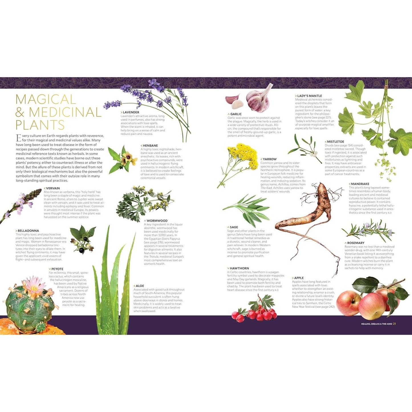 THE NATIONAL GEOGRAPHIC BOOK OF MAGIC AND THE OCCULT: A VISUAL HISTORY