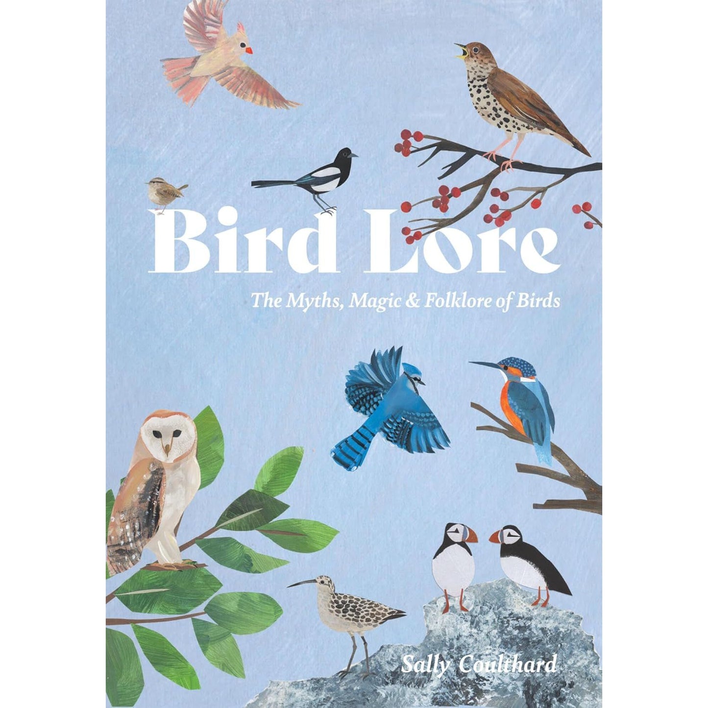 BIRD LORE: THE MYTHS, MAGIC & FOLKLORE OF BIRDS BY SALLY COULTHARD