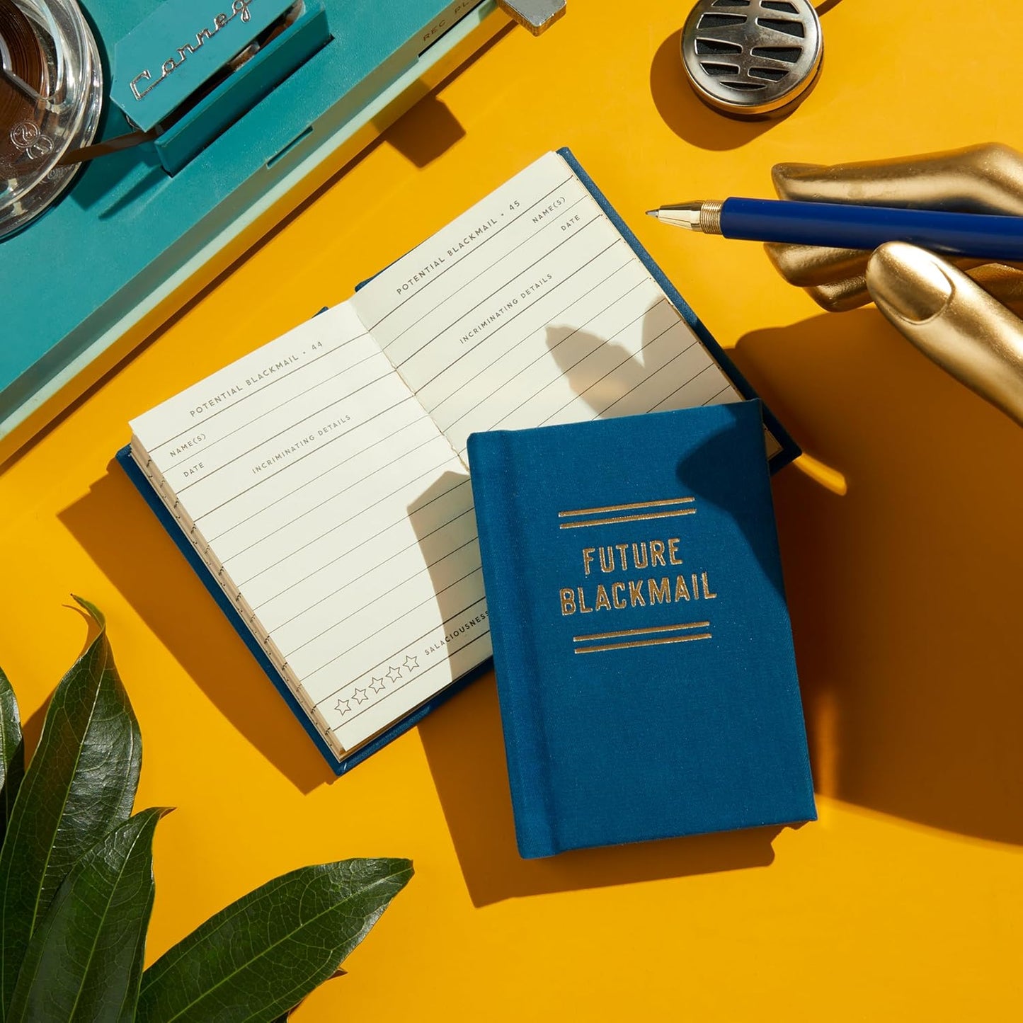 FUTURE BLACKMAIL (A TINY DIARY)