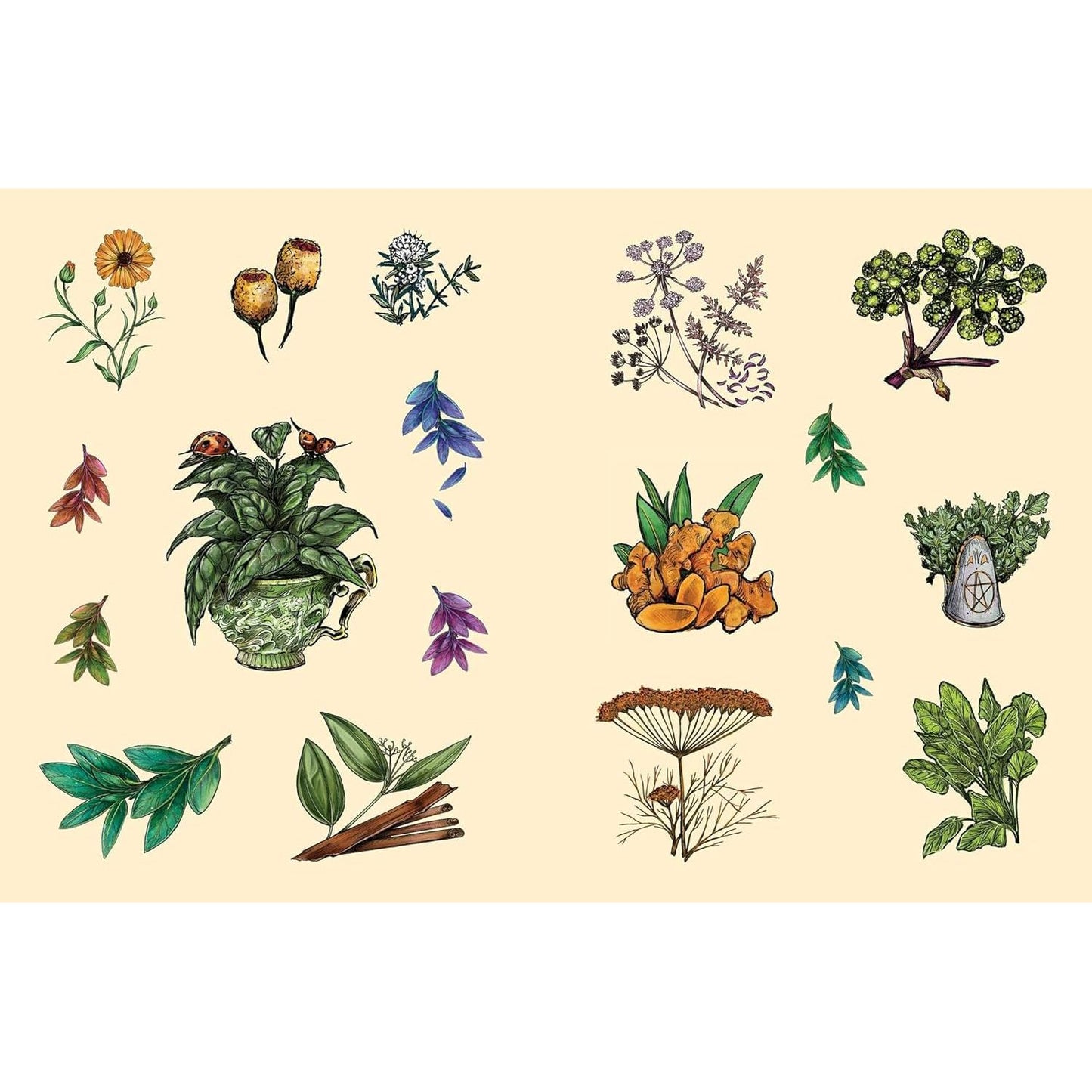 THE GREEN WITCH'S STICKER BOOK 600+ STICKERS!