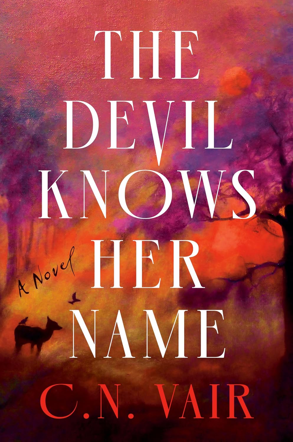 THE DEVIL KNOWS HER NAME BY C.N. VAIR