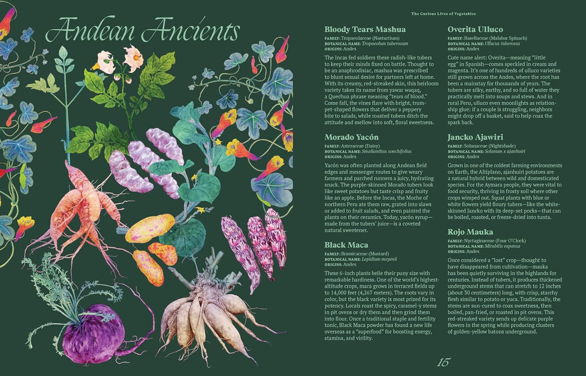 THE CURIOUS LIVES OF VEGETABLES BY ALI FRANCIS, ILLUSTRATED BY ADRIANA PICKER