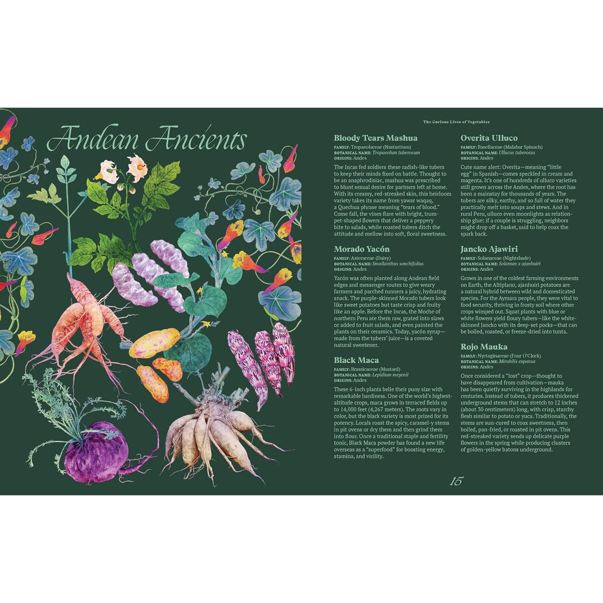 THE CURIOUS LIVES OF VEGETABLES BY ALI FRANCIS, ILLUSTRATED BY ADRIANA PICKER