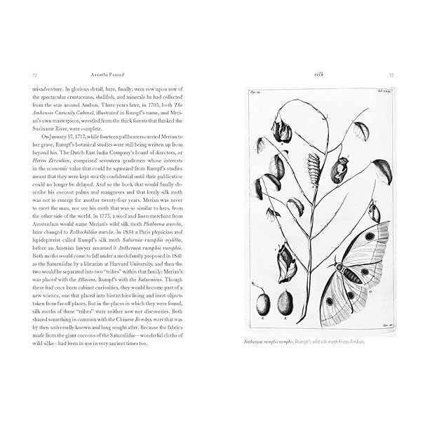 SILK: A WORLD HISTORY BY AARATHI PRASAD