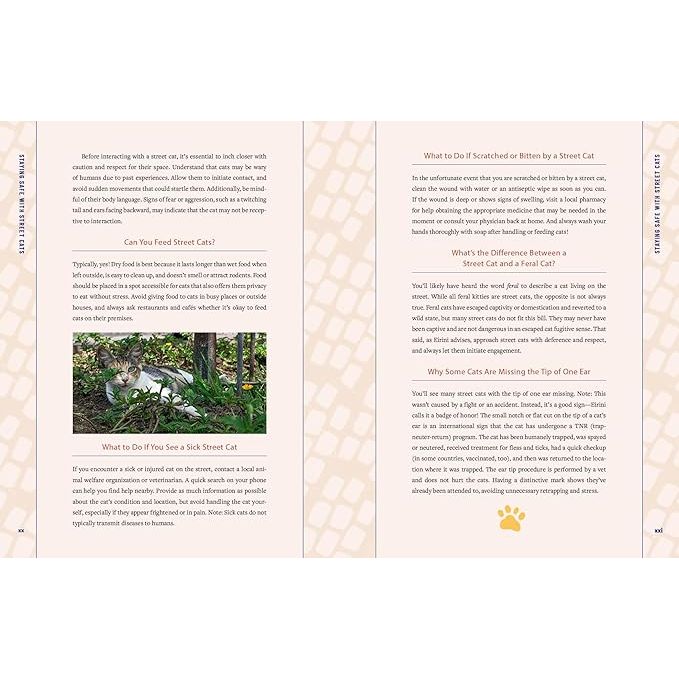 STREET CATS AND WHERE TO FIND THEM: THE MOST FELINE-FRIENDLY CITIES AND ATTRACTIONS AROUND THE WORLD BY JEFF BOGLE