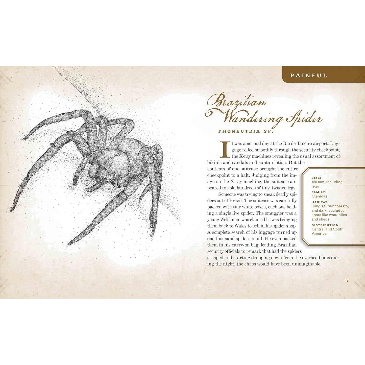 WICKED BUGS BY AMY STEWART