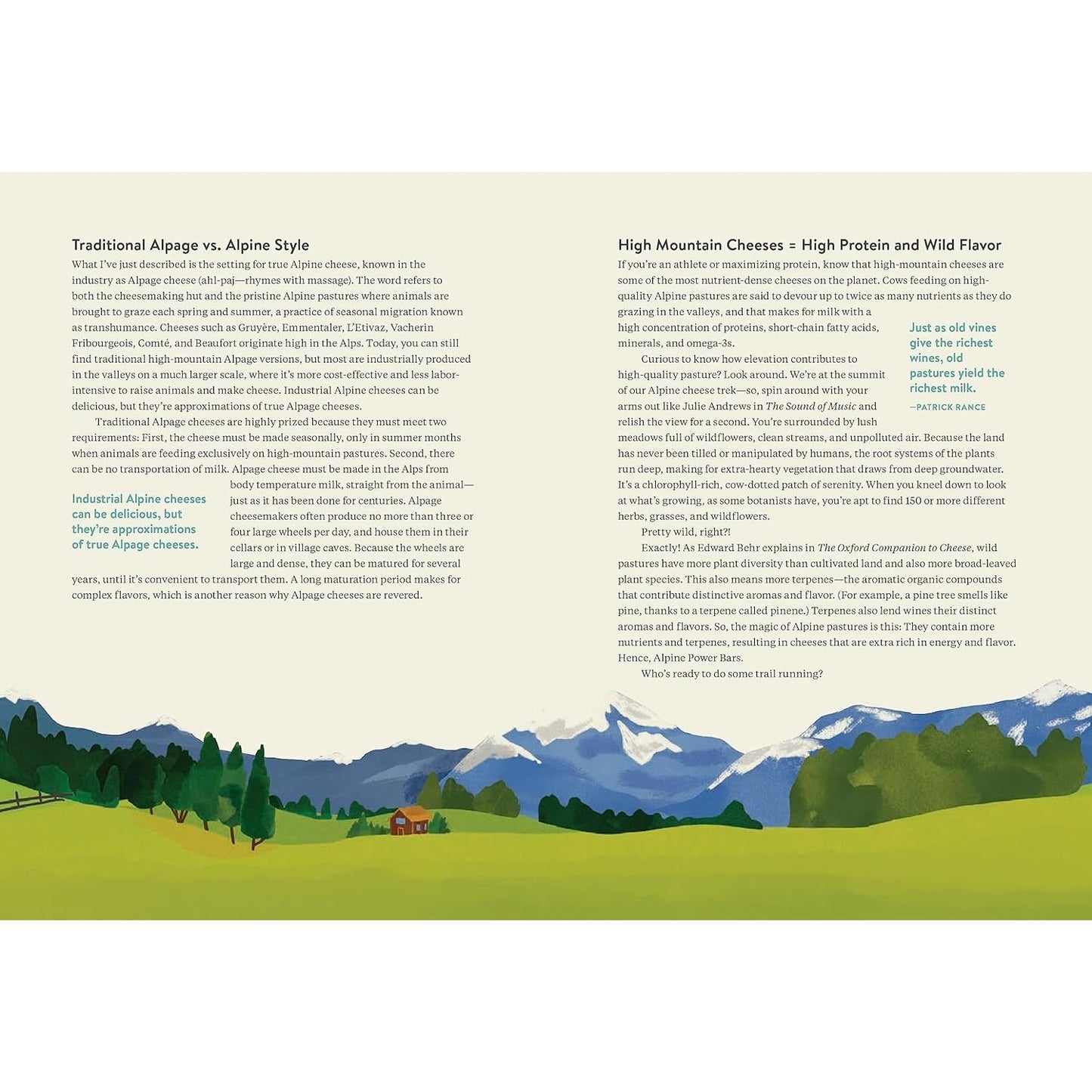 MADAME FROMAGE'S ADVENTURES IN CHEESE BY TENAYA DARLINGTON