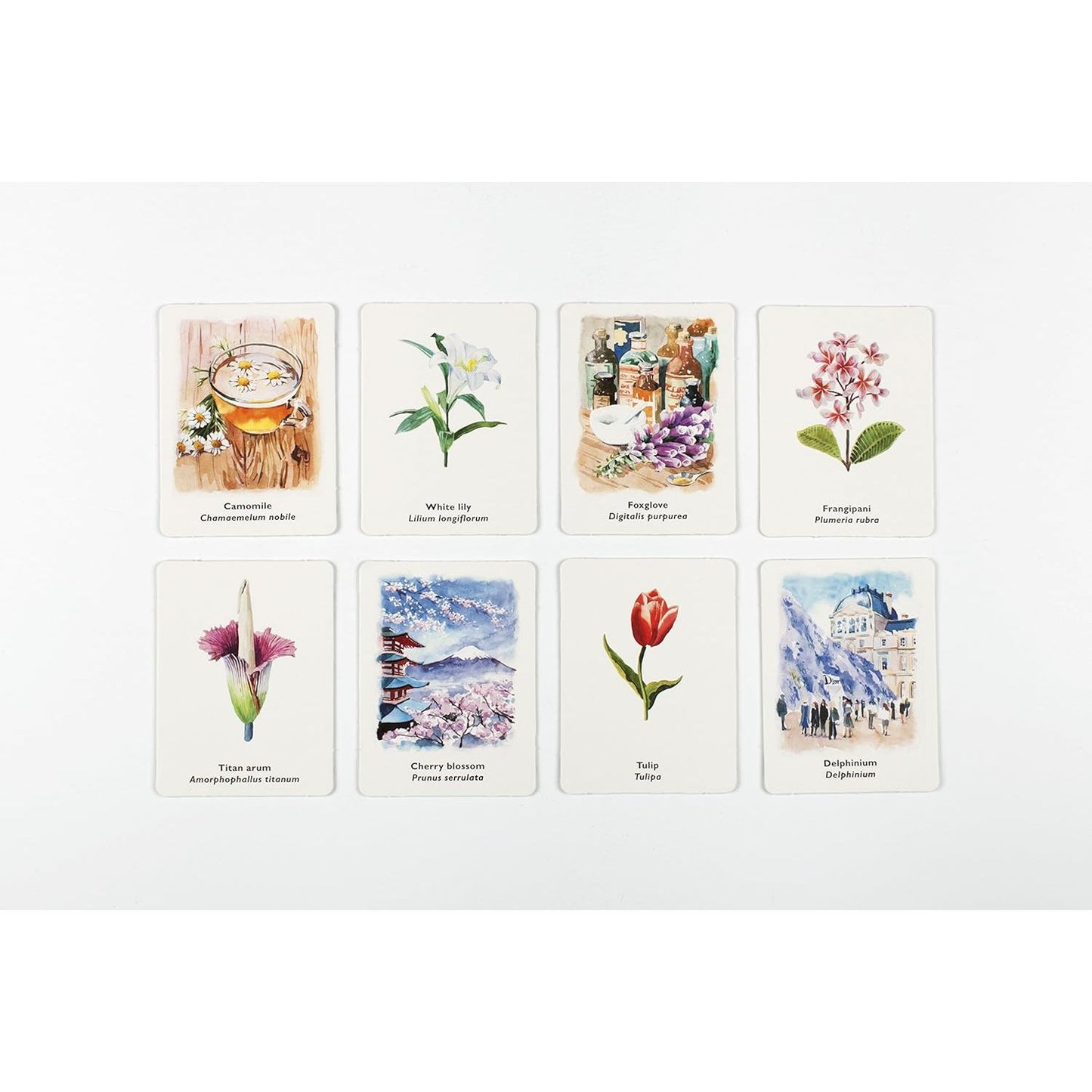 PICK A FLOWER MEMORY GAME