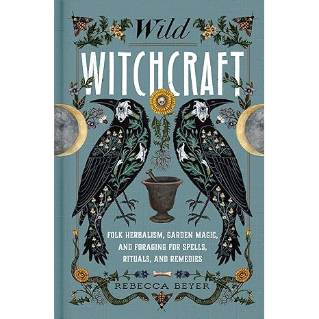 WILD WITCHCRAFT BY REBBECCA BEYER