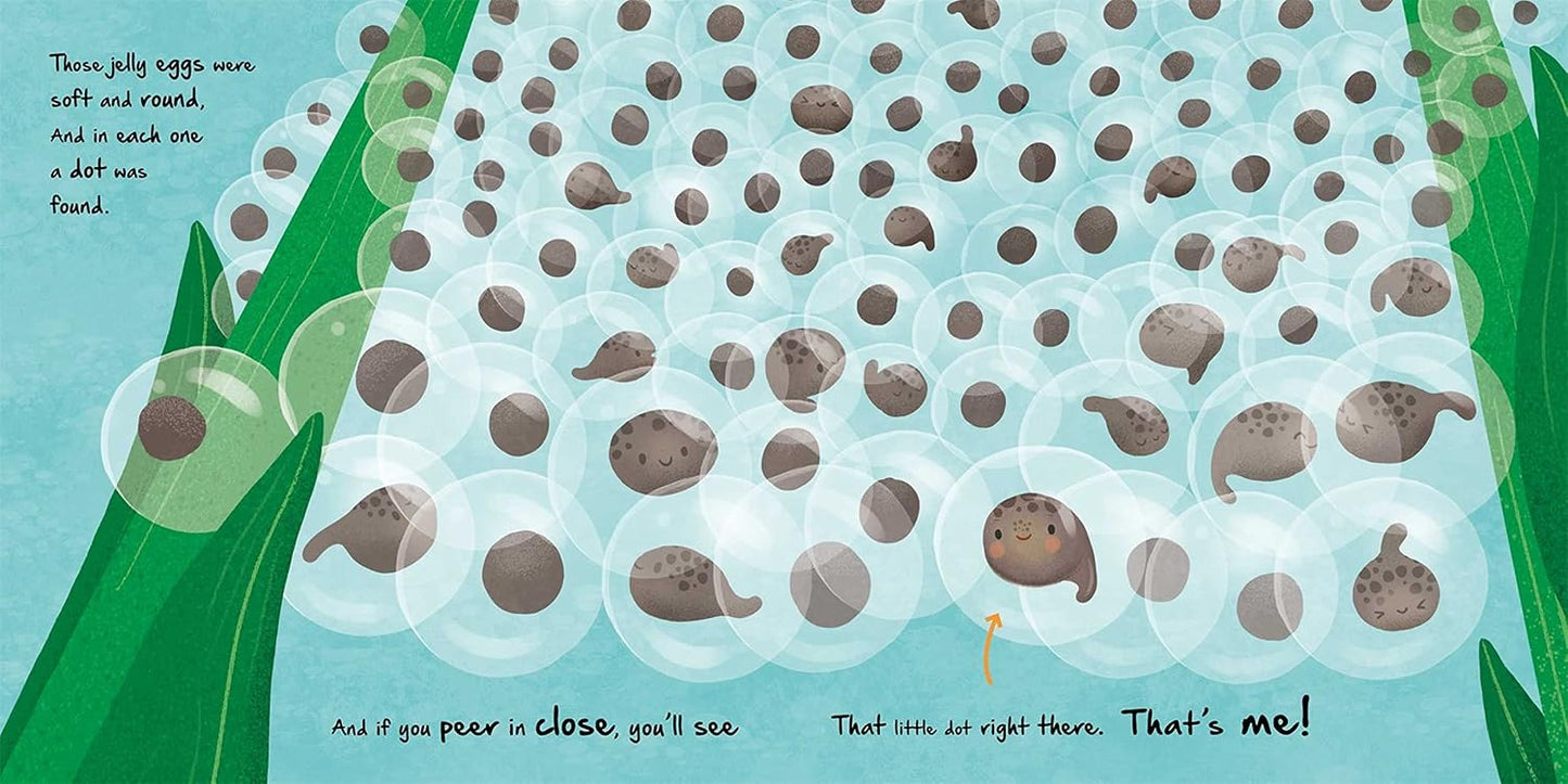NATURE STORIES: LITTLE FROG BY IGLOOBOOKS AND GISELA BOHÓRQUEZ