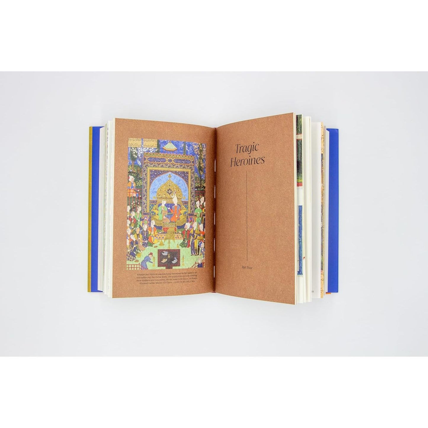 MAIDENS OR MONSTERS? TALES OF AMAZONS, GODDESSES, QUEENS, & TEMPTRESSES IN MEDIEVAL MANUSCRIPTS BY CHANTRY WESTWELL