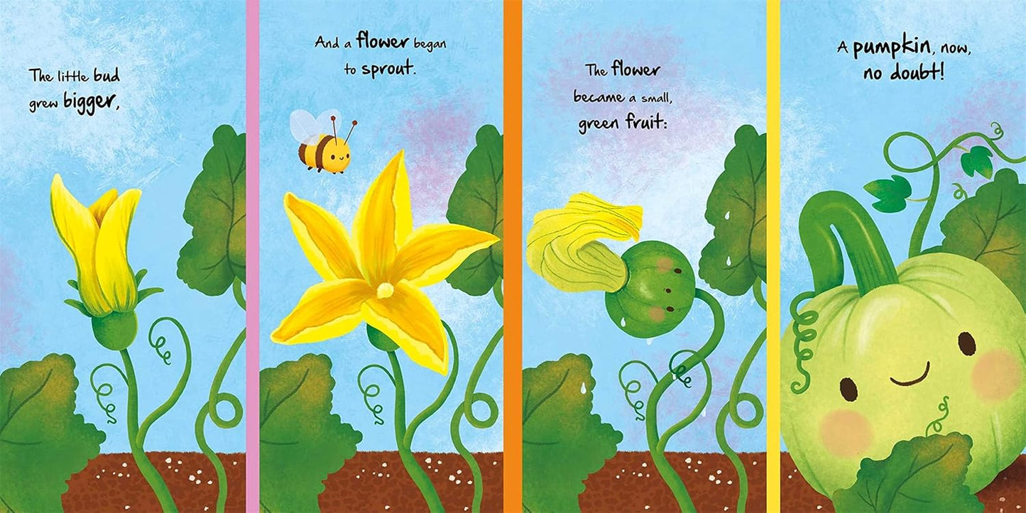 NATURE STORIES: LITTLE PUMPKIN BY IGLOOBOOKS AND GISELA BOHÓRQUEZ