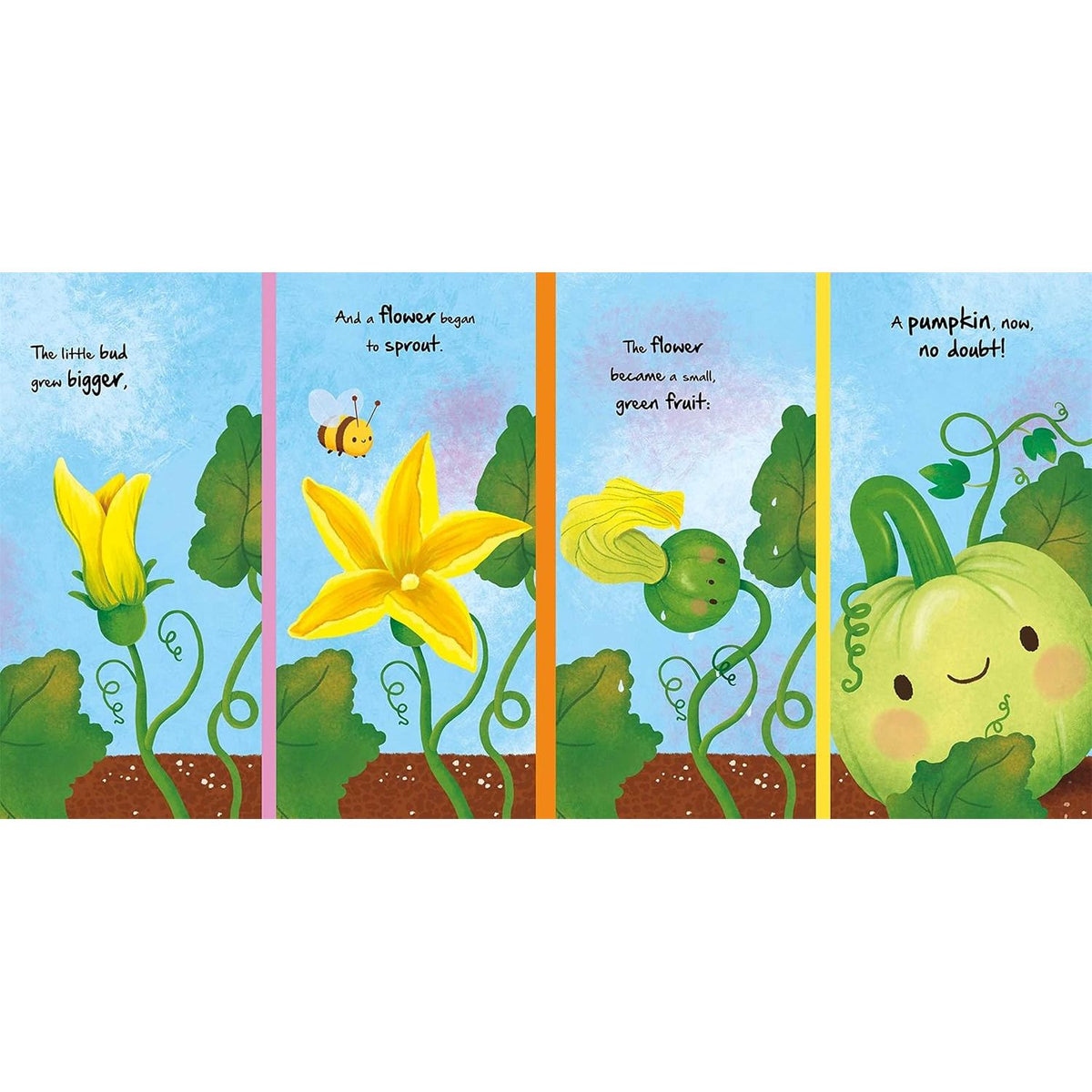 NATURE STORIES: LITTLE PUMPKIN BY IGLOOBOOKS AND GISELA BOHÓRQUEZ