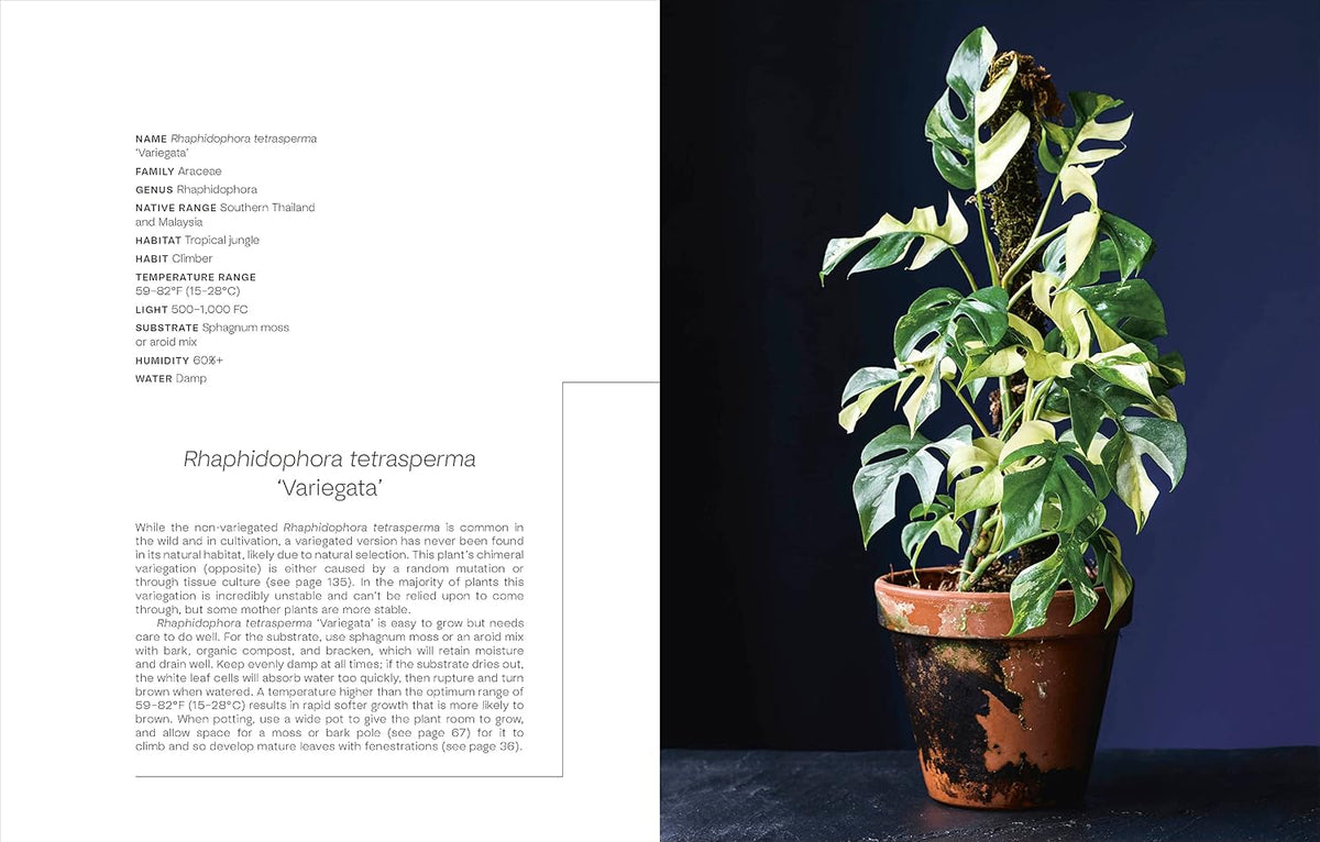 NOT ANOTHER JUNGLE: COMPREHENSIVE CARE FOR EXTRAORDINARY HOUSEPLANTS BY TONY LE-BRITTON