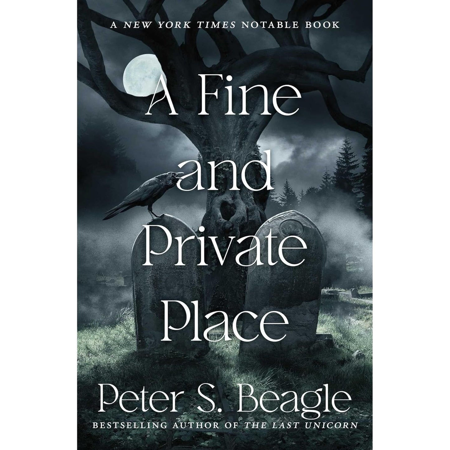 A FINE AND PRIVATE PLACE BY PETER S. BEAGLE