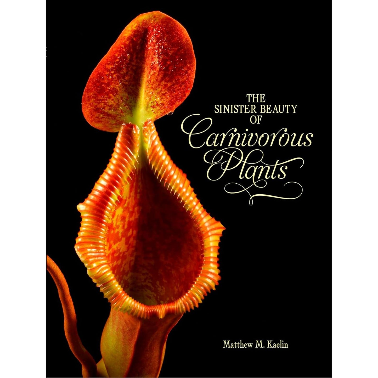 THE SINISTER BEAUTY OF CARNIVOROUS PLANTS BY MATTHEW M. KAELIN
