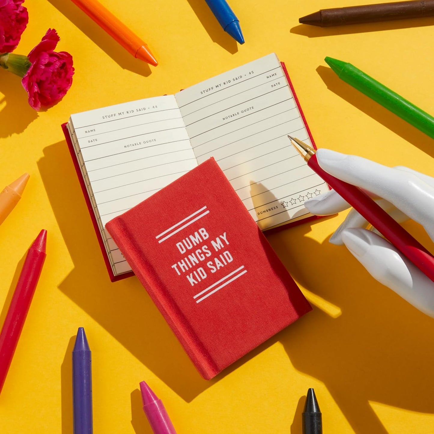 DUMB THINGS MY KIDS SAY (A TINY DIARY)