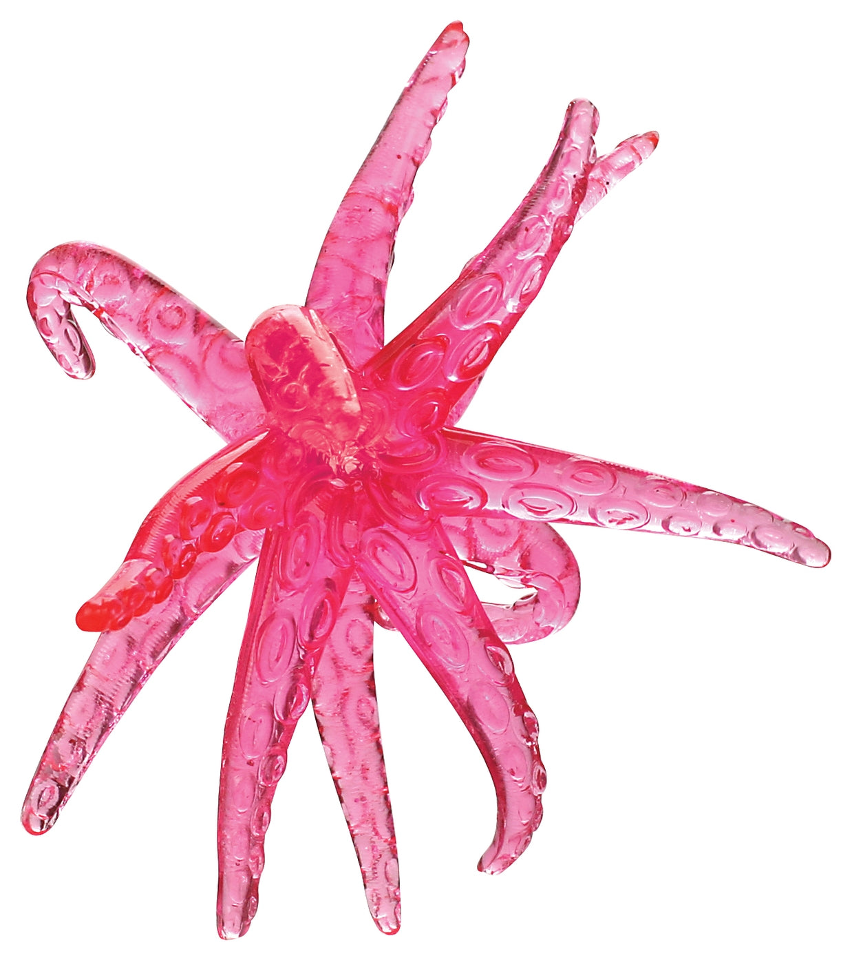 STICKY STARFISH