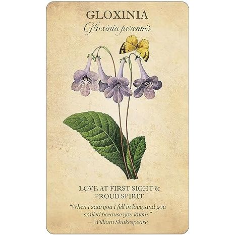 BOTANICAL INSPIRATIONS DECK AND BOOK SET