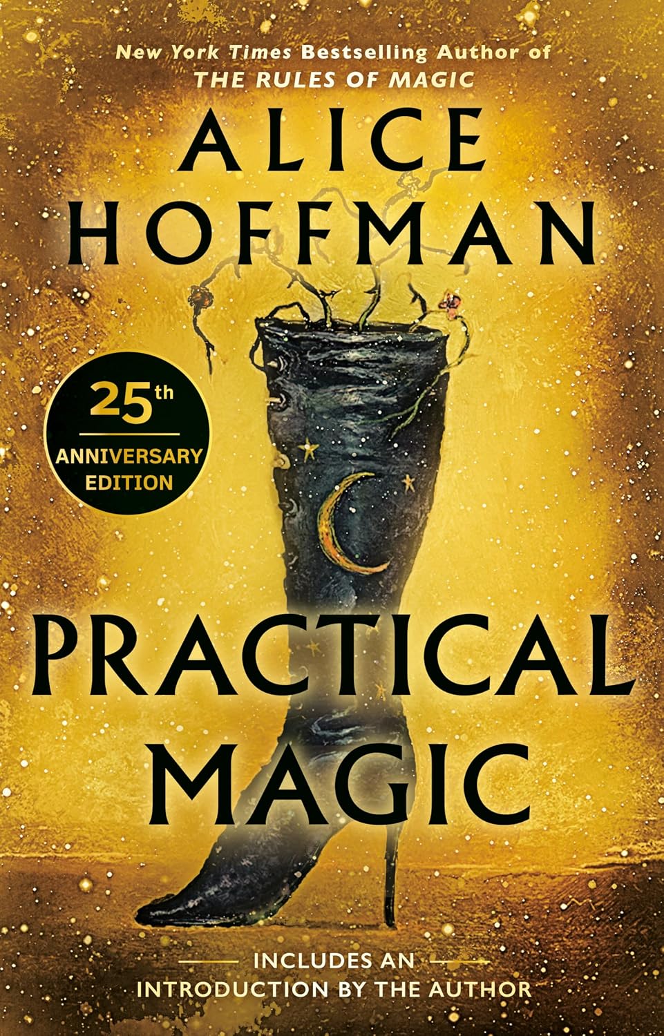 PRACTICAL MAGIC 25TH ANNIVERSARY EDITION BY ALICE HOFFMAN
