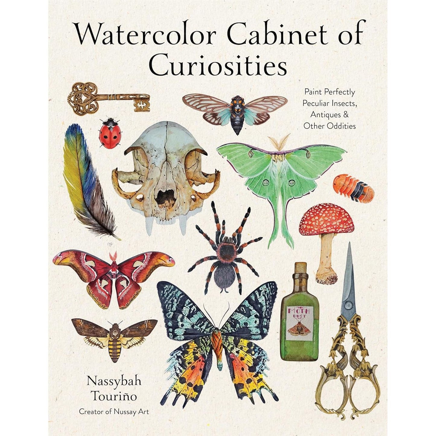 WATERCOLOR CABINET OF CURIOSITIES BY NASSYBAH TOURINO