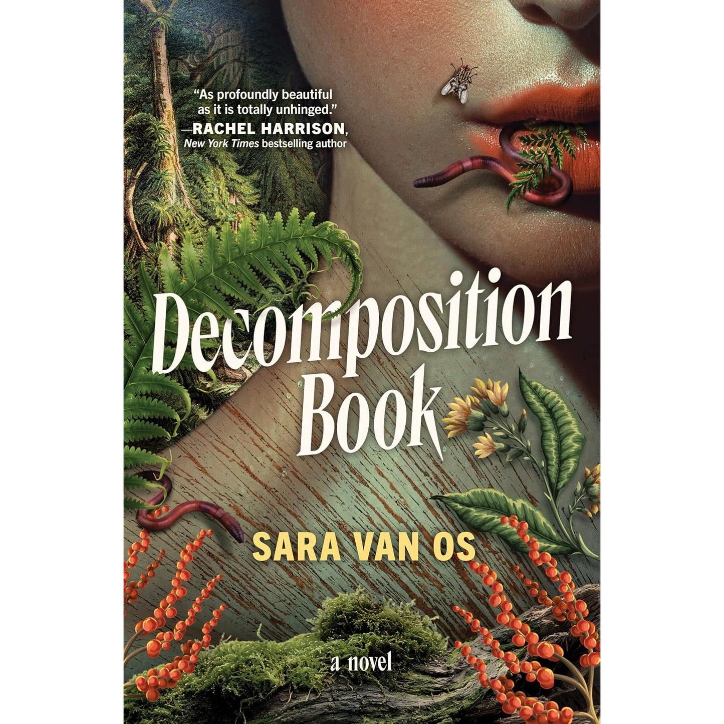 DECOMPOSITION BOOK BY SARA VAN OS