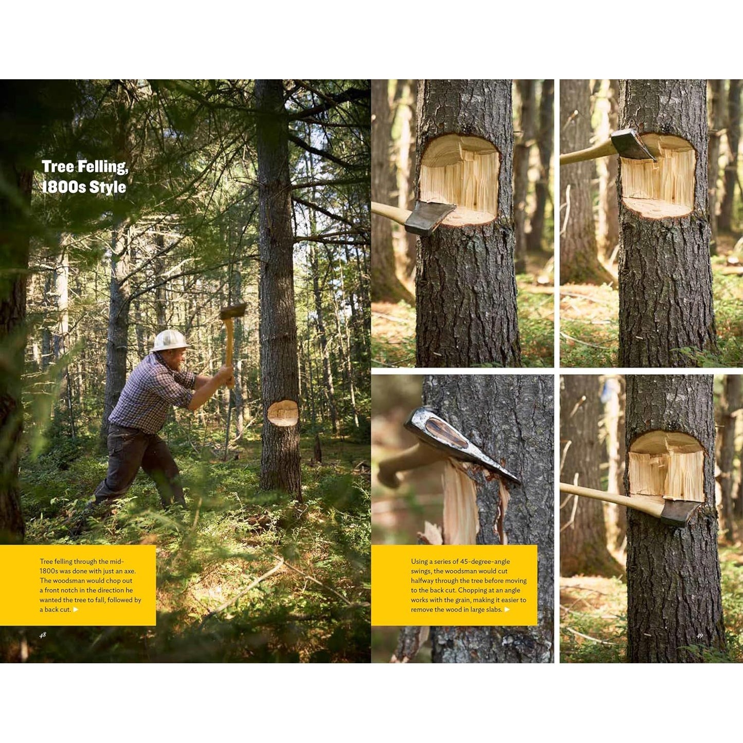 AMERICAN AXE: THE TOOL THAT SHAPED A CONTINENT BY BRETT MCLEOD