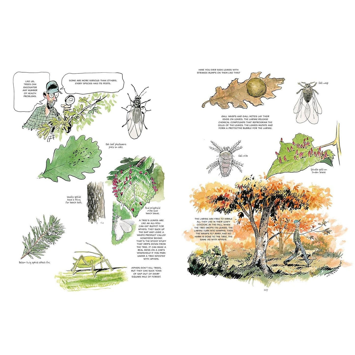 THE HIDDEN LIFE OF TREES: A GRAPHIC ADAPTION BY PETER WOHLLEBEN, FRED BERNARD, & BENJAMIN FLAO