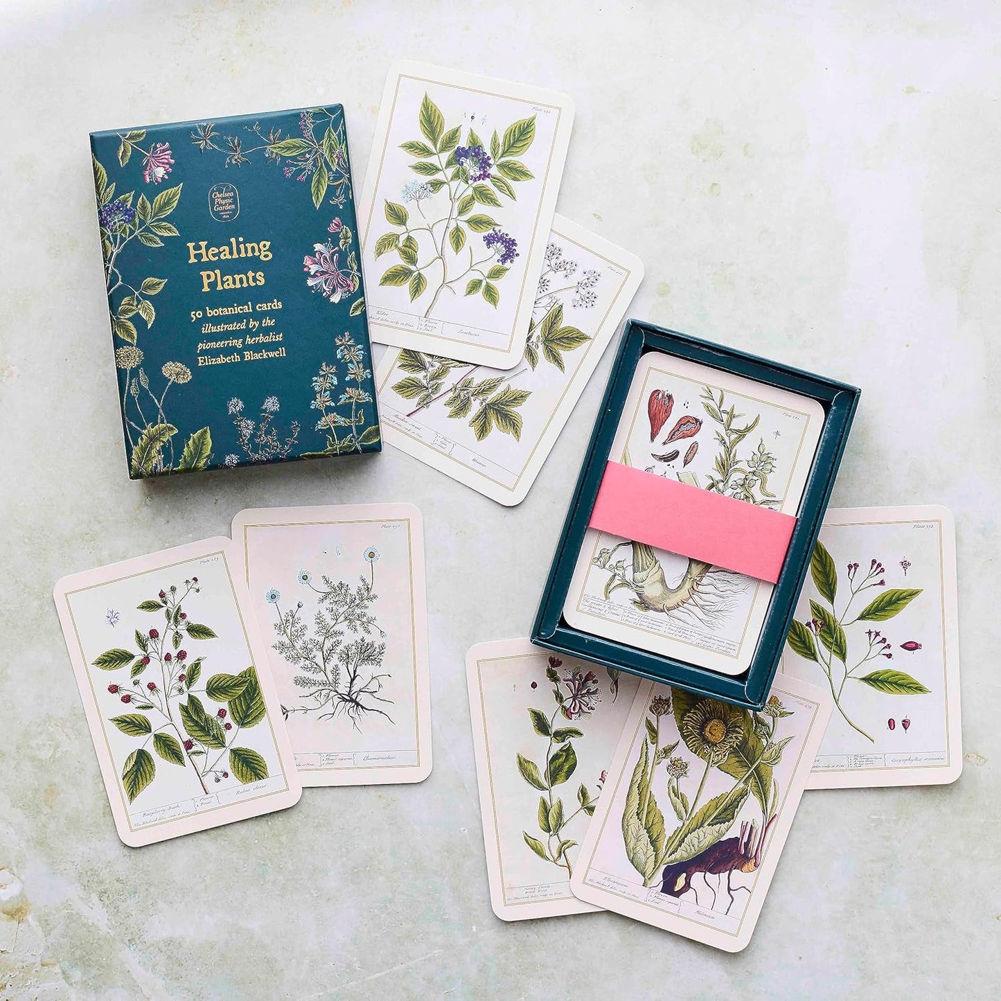 HEALING PLANTS 50 BOTANICAL CARDS
