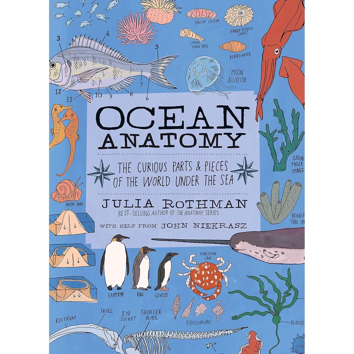 OCEAN ANATOMY BY JULIA ROTHMAN AND JOHN NIEKRASZ