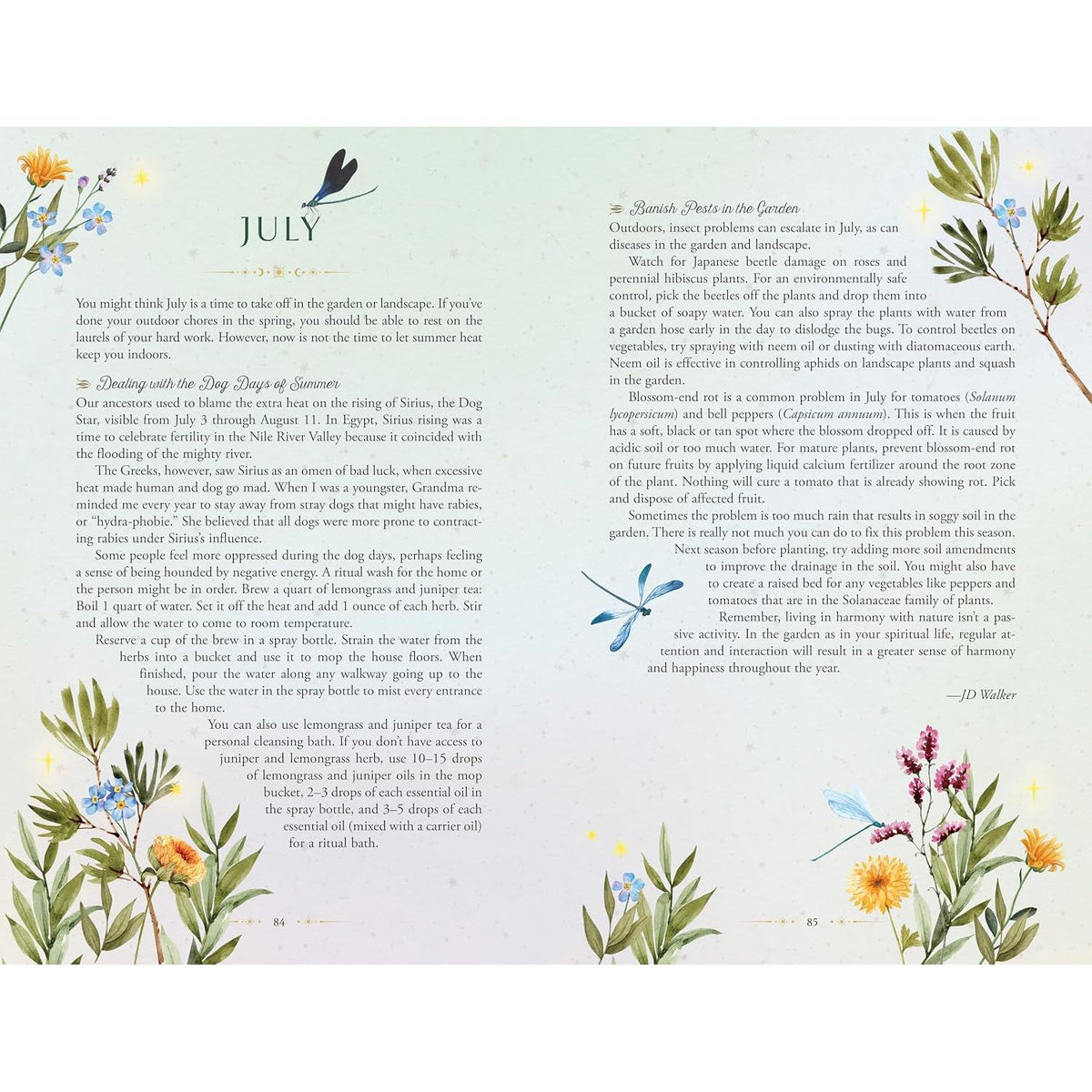 LLEWELLYN'S 2027 HERBAL ENCHANTMENT PLANNER: A GREEN GUIDE TO PLANT MAGIC