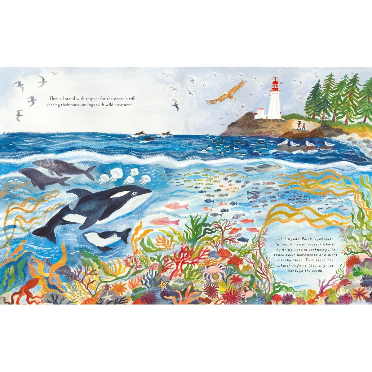 BEACONS OF LIGHT: A JOURNEY THROUGH THE WORLD OF LIGHTHOUSES BY GEMMA KOOMEN