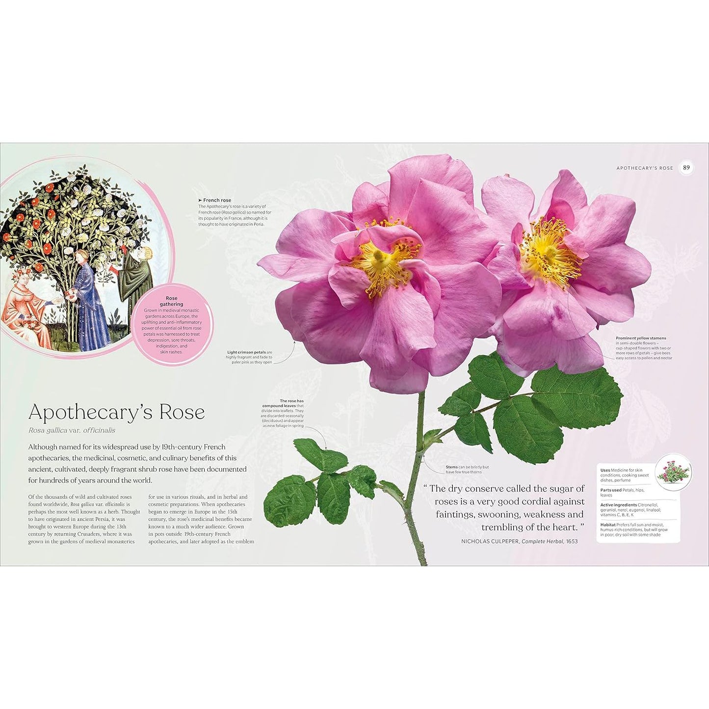 THE HERB BOOK; THE STORIES, SCIENCE, AND HISTORY OF HERBS (A DK BOOK)