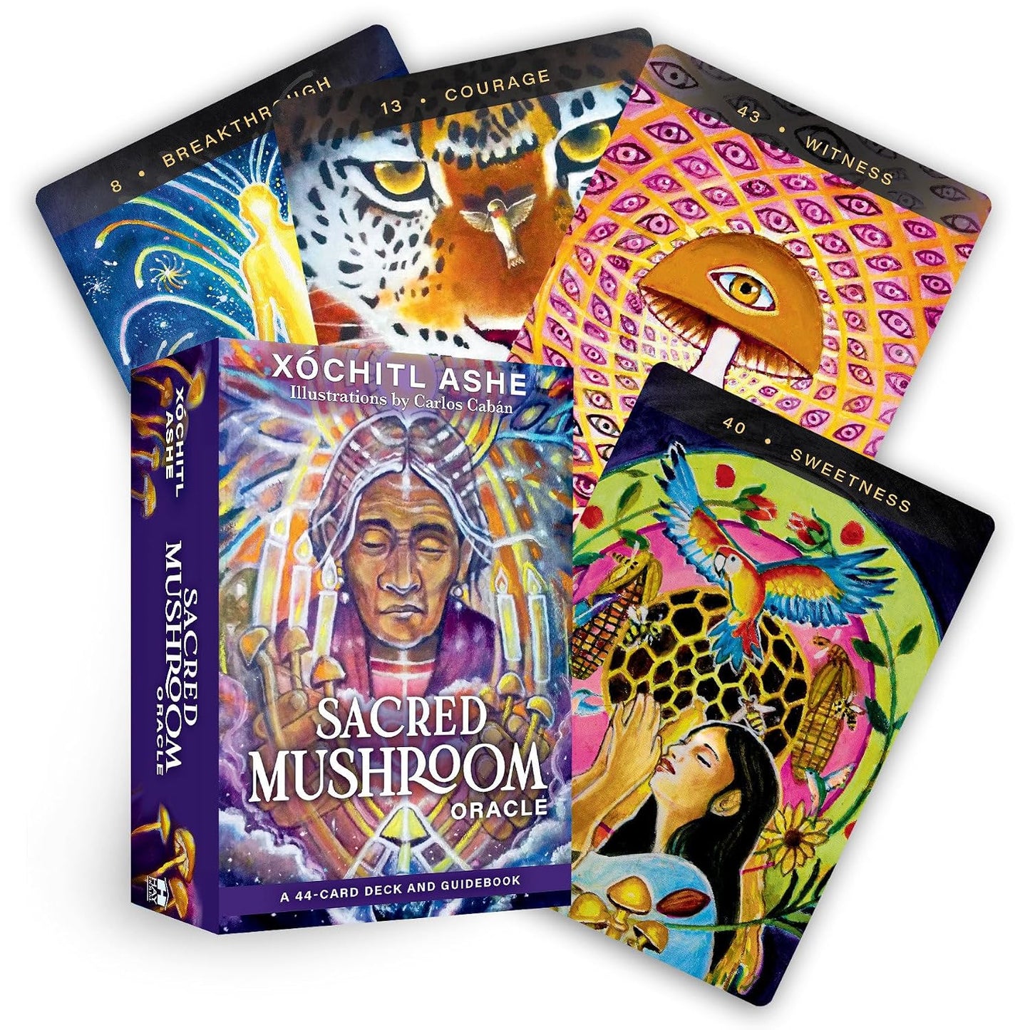 SACRED MUSHROOM ORACLE DECK BY XÓCHITL KUSIKUY ASHE