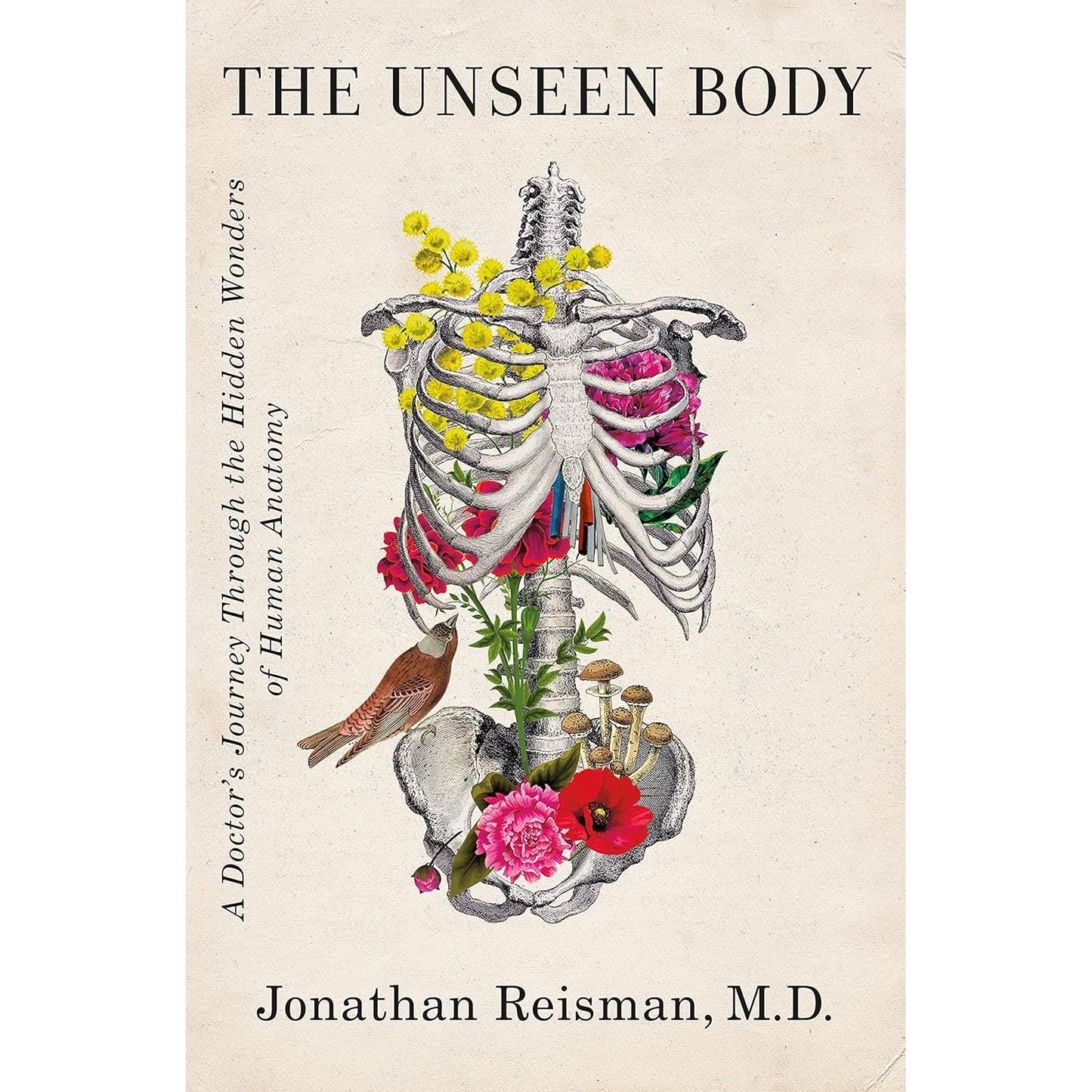 THE UNSEEN BODY BY JONATHAN REISMAN, M.D.