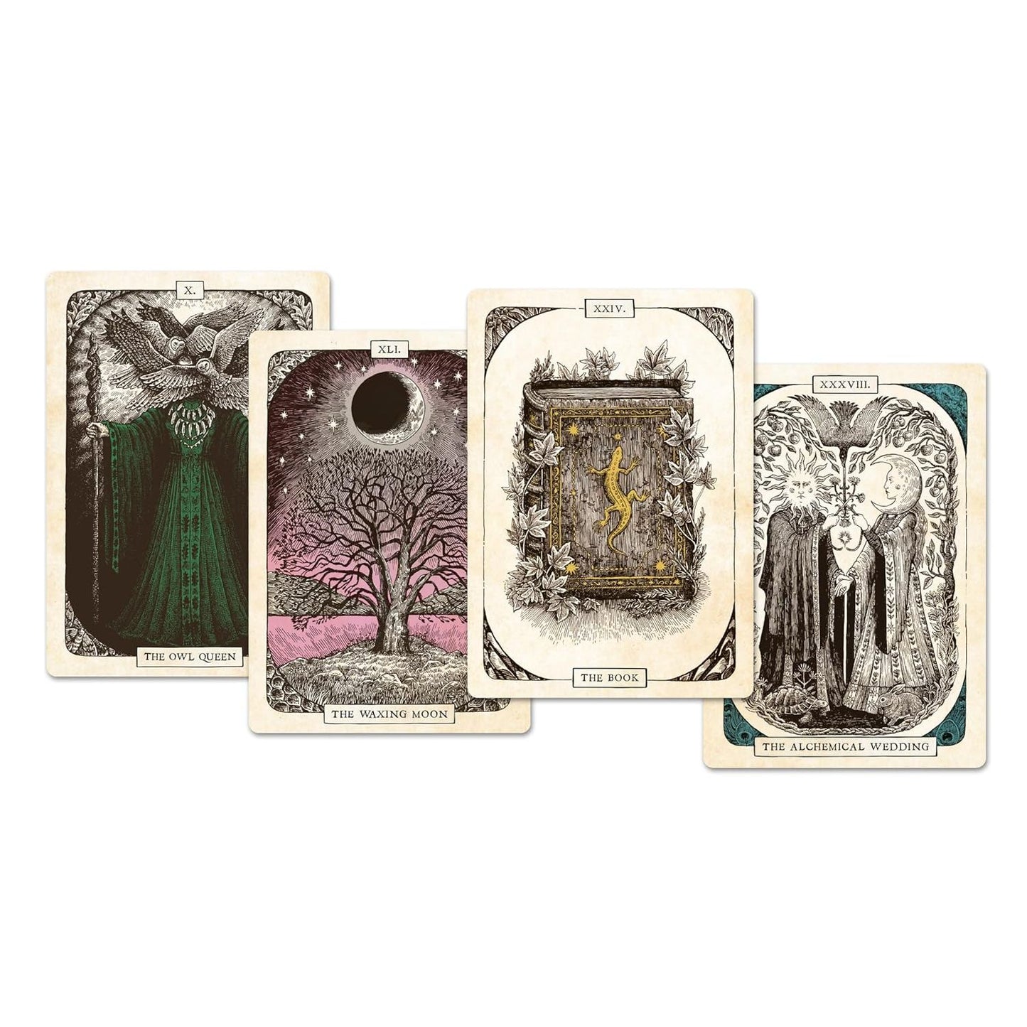 THE BLACK BIRD ORACLE DECK: A 52-CARD DECK AND GUIDEBOOK BY DEBORAH HARKNESS AND HESTER ASPLAND