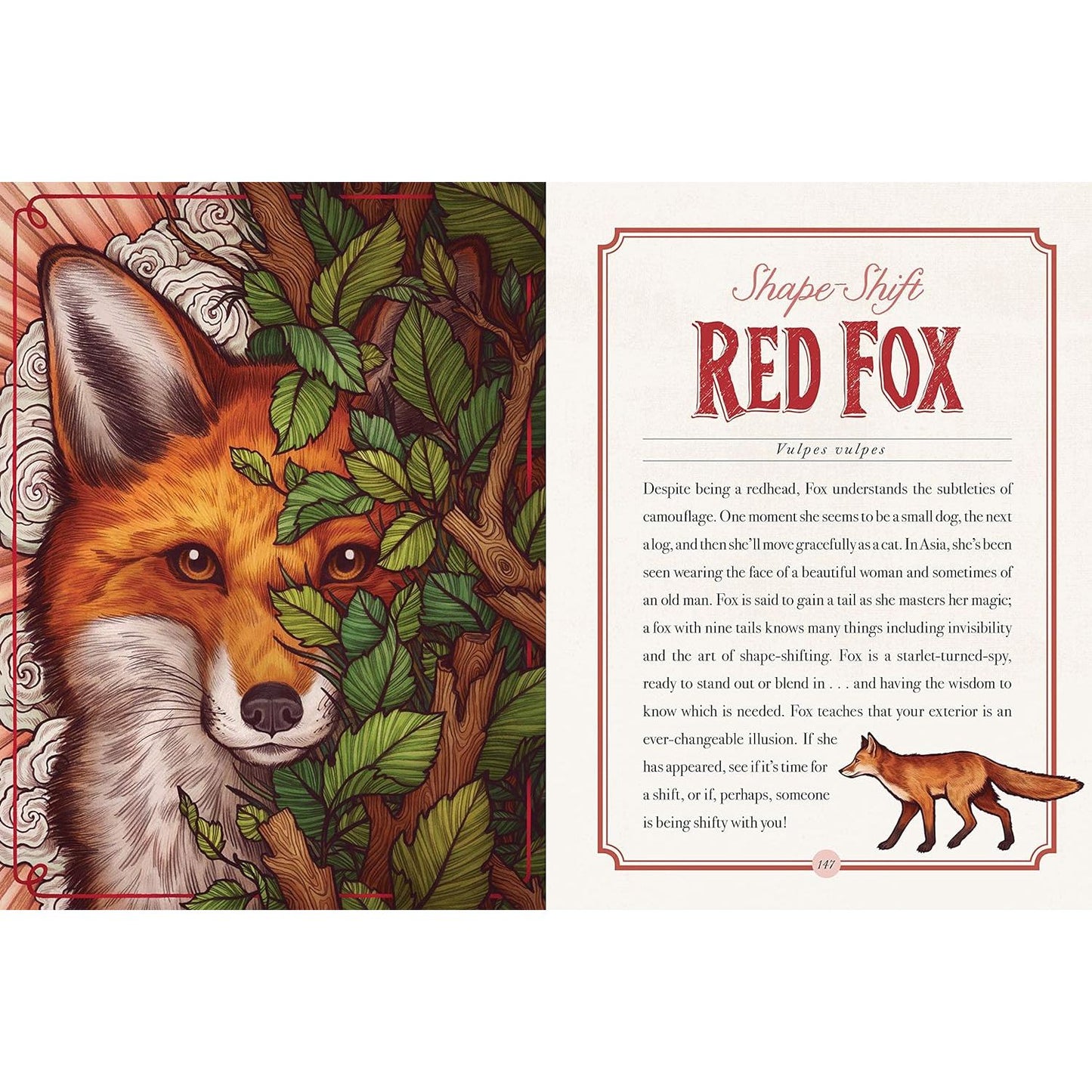 THE ILLUSTRATED BEASTIARY BY MAIA TOLL