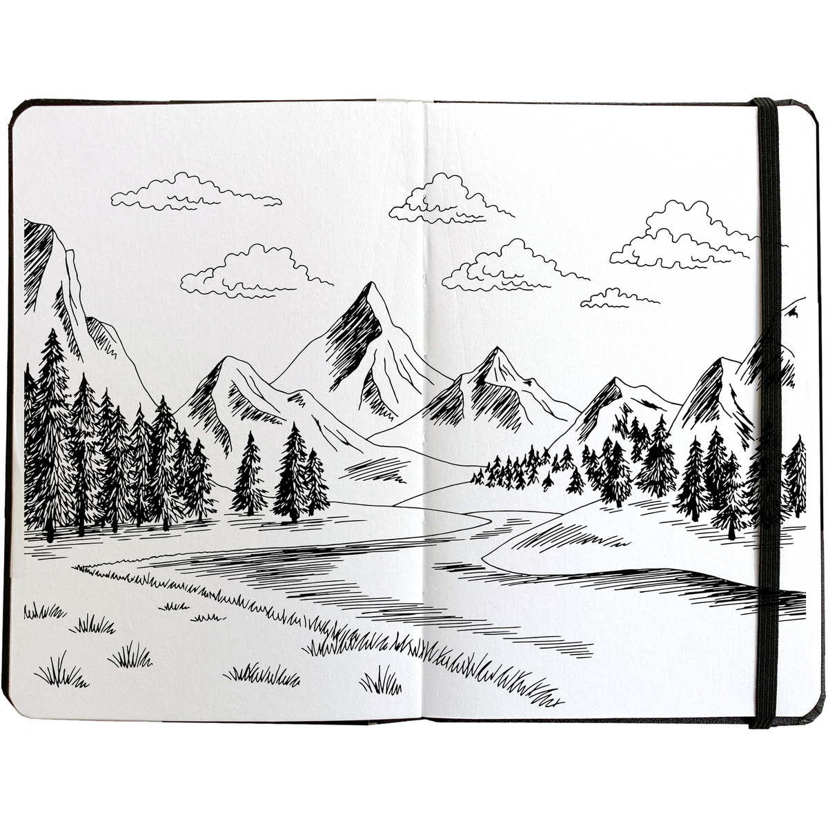 FIELD SKETCHBOOK