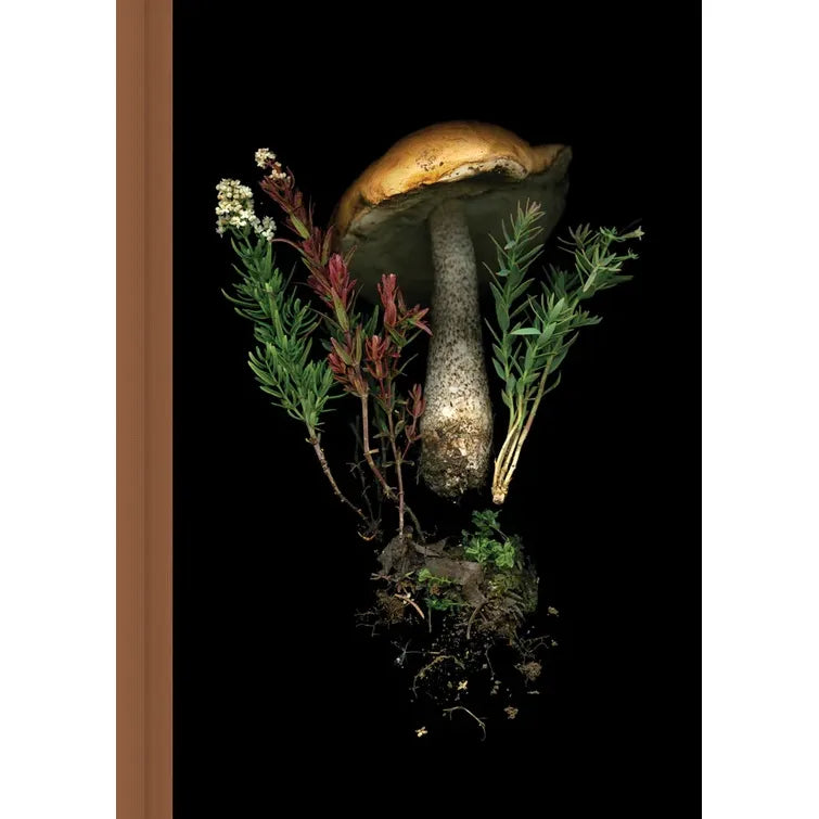 DEEP DARK FOREST MUSHROOM JOURNAL