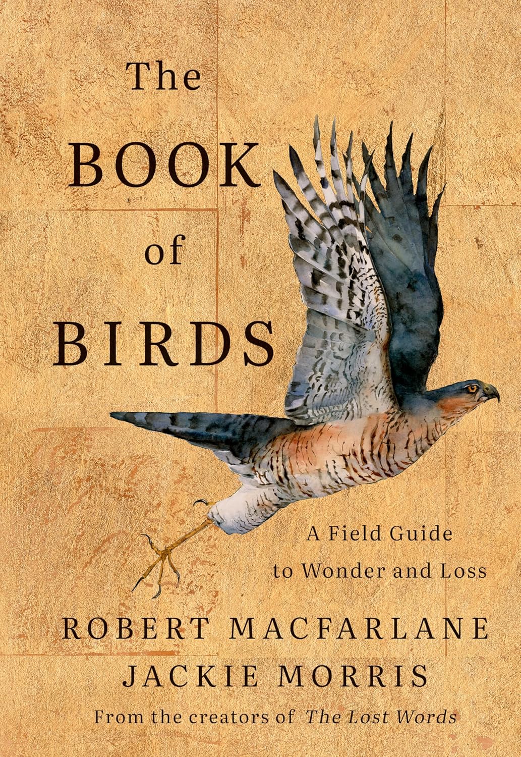 THE BOOK OF BIRDS: A FIELD GUIDE TO WONDER AND LOSS BY ROBERT MACFARLANE ADN JACKIE MORRIS